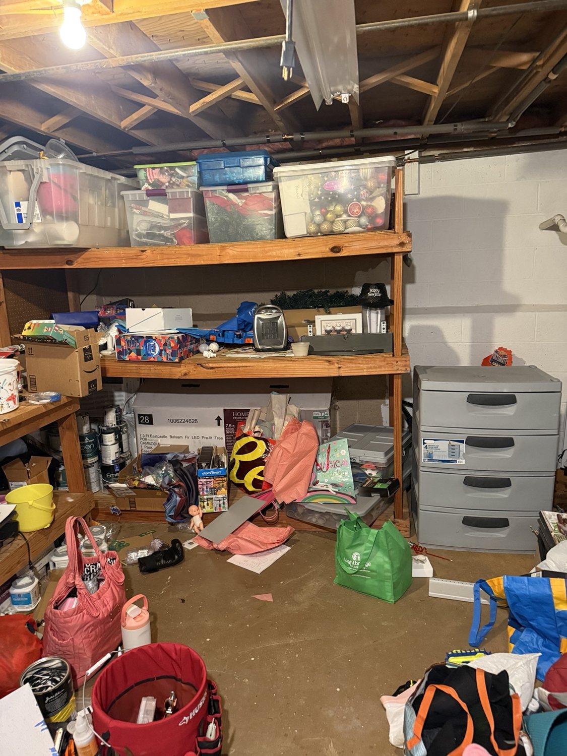 Storage Shelving before